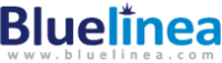 Illustration Bluelinea, « Champion Systematic 2013 ».