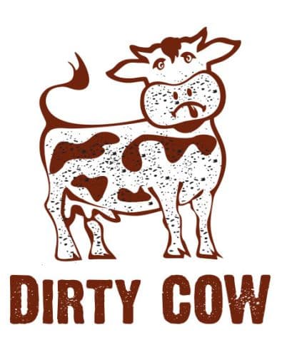 Illustration Dirty Cow VS Atom Bombing : l’architecture des systèmes d’exploitation remise en cause !