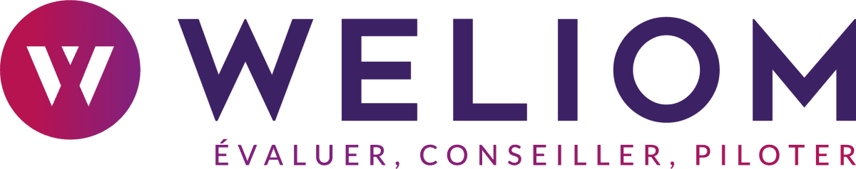 Illustration Transformation des organisations et des SI : le cabinet de conseil WELIOM propose une approche globale 